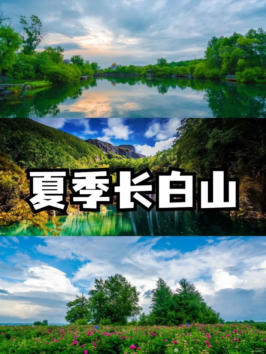 夏季避暑攻略|长白山+延吉旅游攻略‼️。
