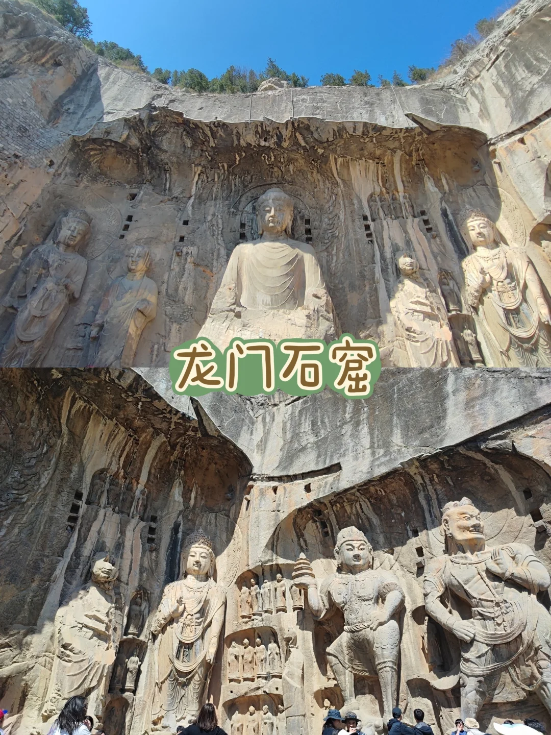 🇨🇳河南|赶快带长辈来旅游吧