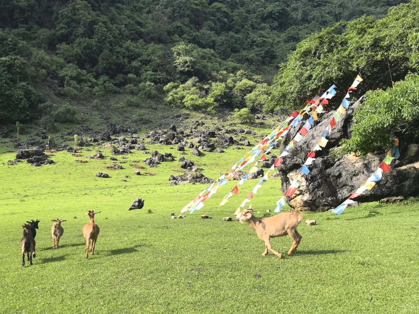 柳州四天三夜旅游攻略💰800r特种兵式旅游