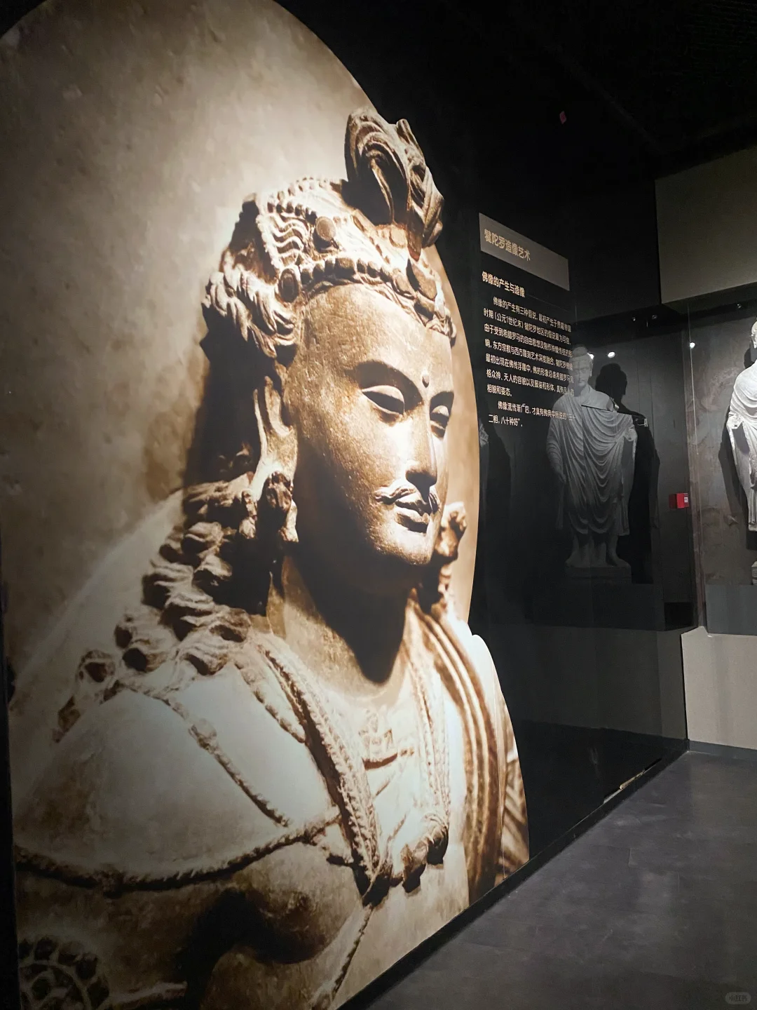 邯郸 | 5-6 月出行，姐妹防坑指南📗