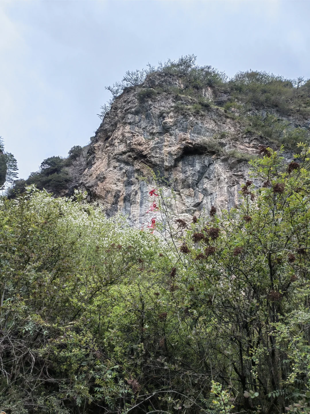 爸妈走得慢，但笑得比谁都开心🙂