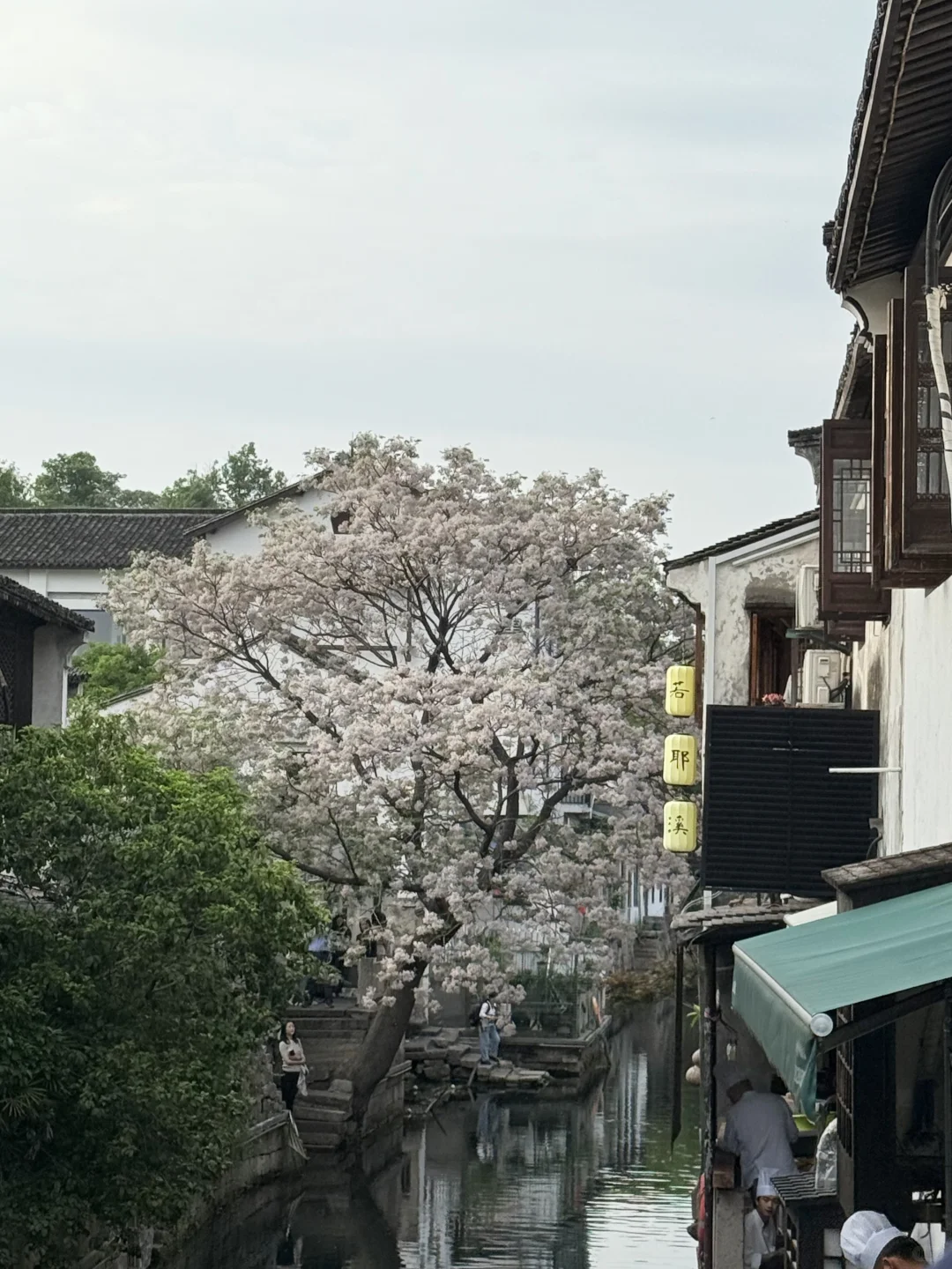 绍兴一日旅游攻略（美食向）