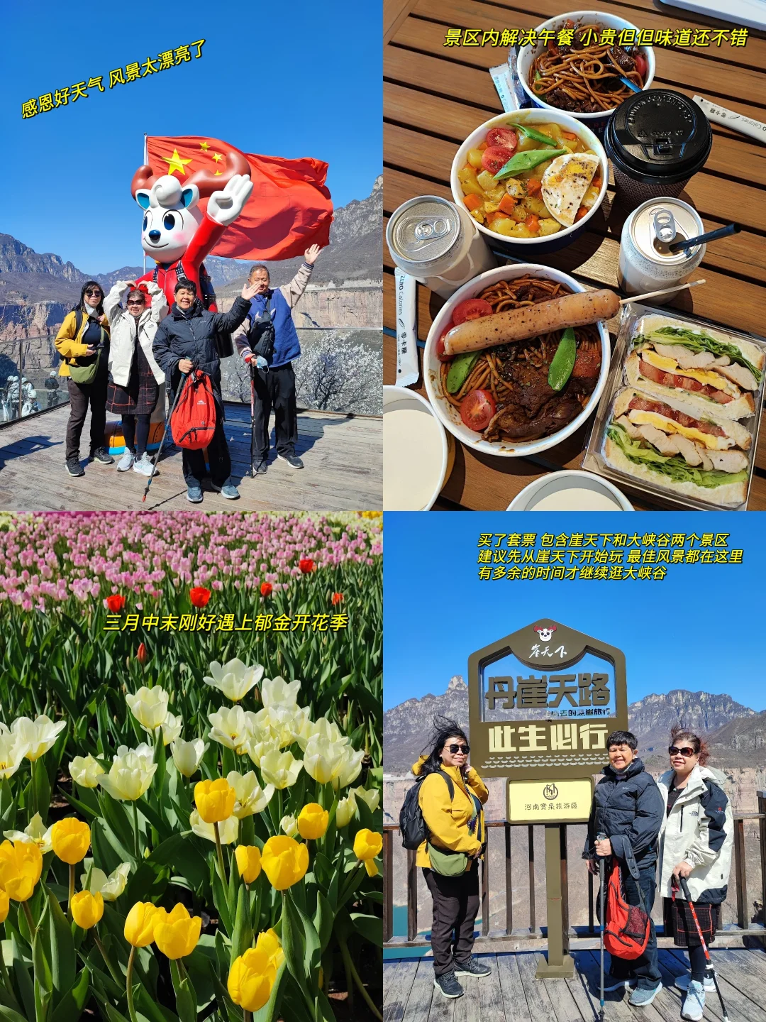 🇨🇳河南|赶快带长辈来旅游吧