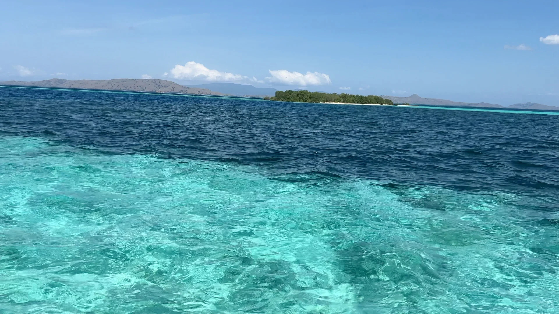 我要狠狠推荐科莫多8景点一日游
