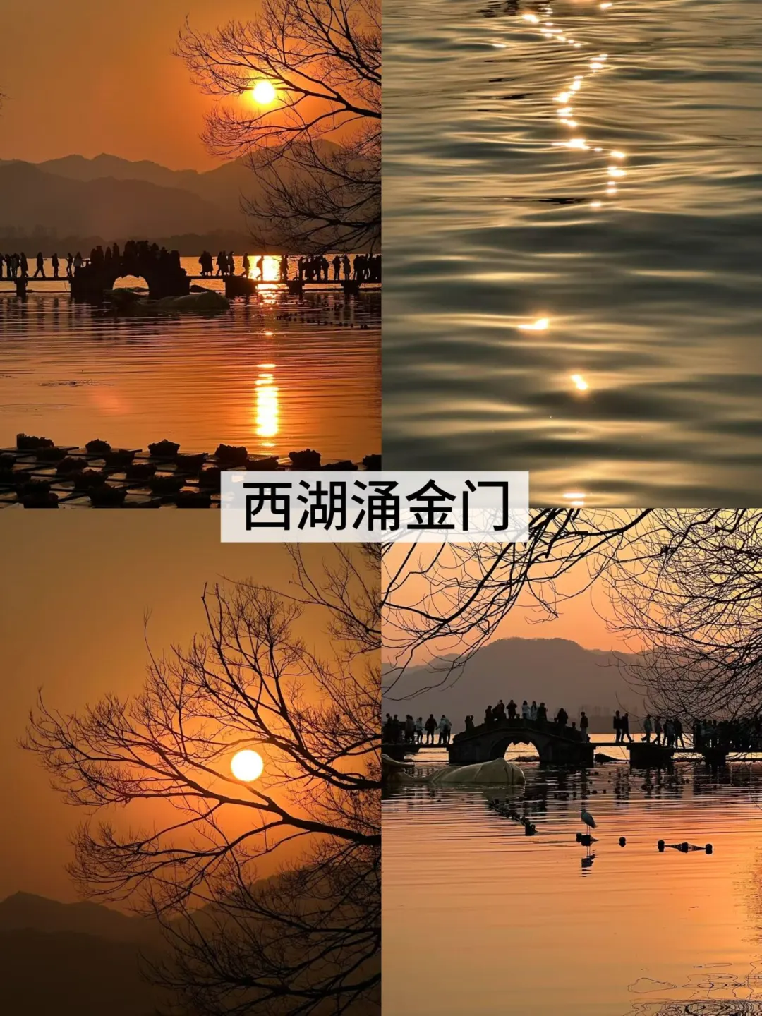 来西湖必去的8️⃣大景点（不踩雷版）！