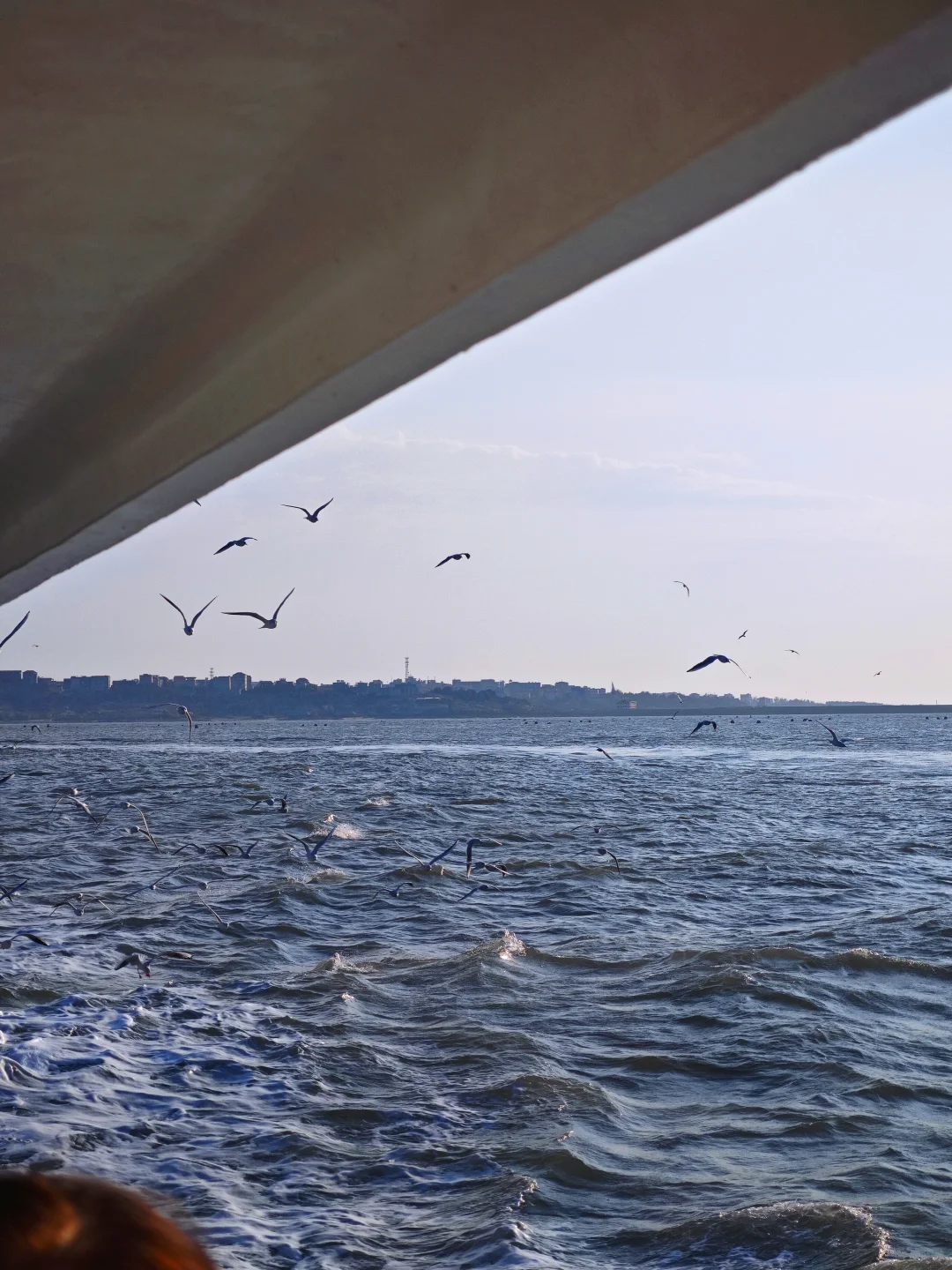 🚢湄屿之乡 | 妈祖故里🌊