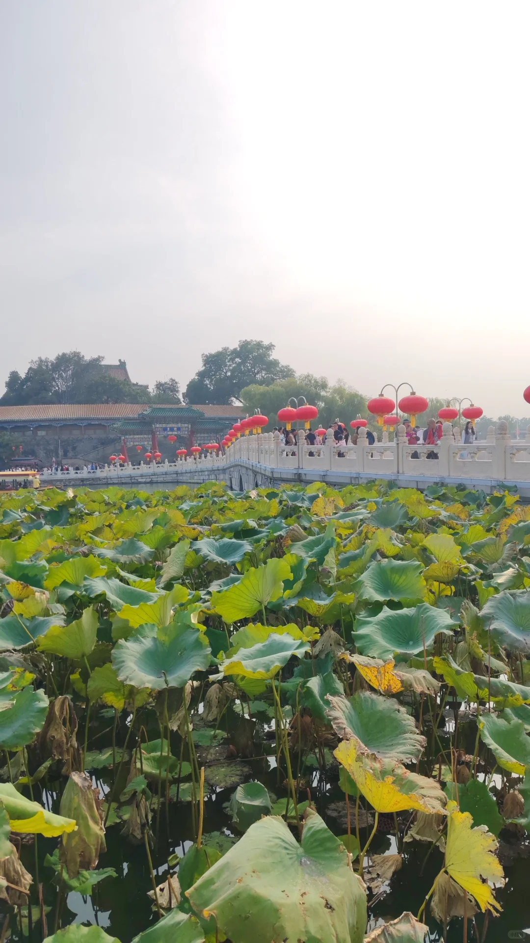 北京5天速通攻略，不早起暴走版(含升旗