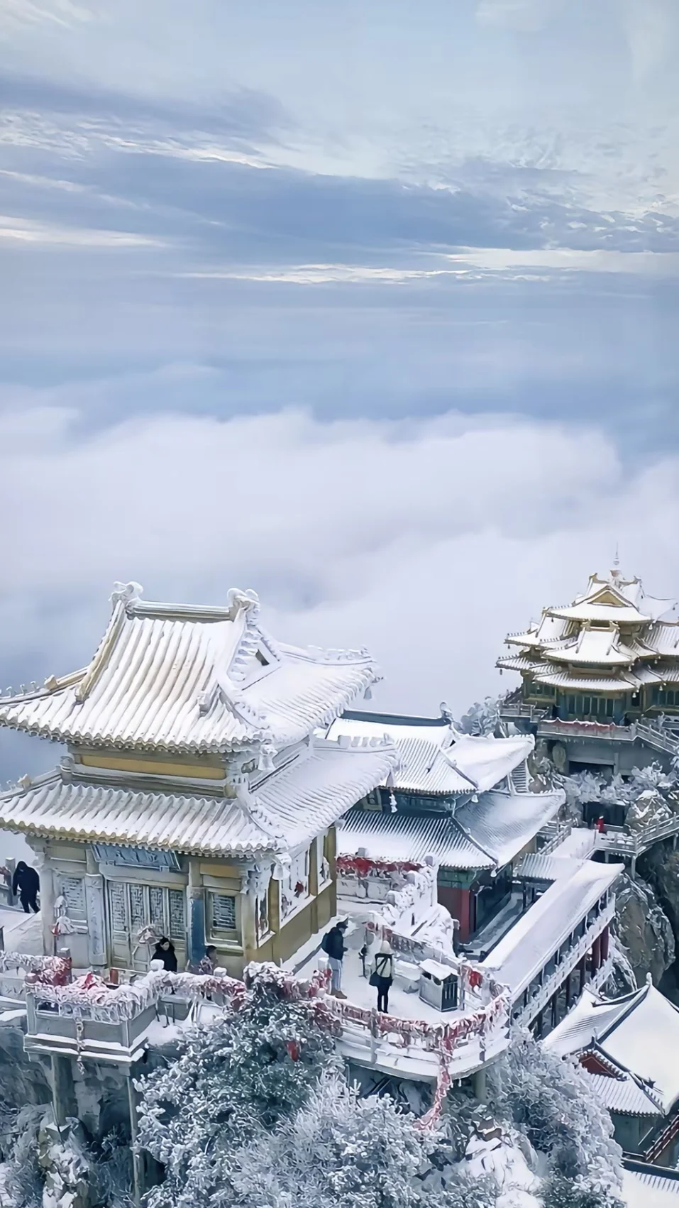 🌄远赴人间惊鸿宴，一睹老君山真颜