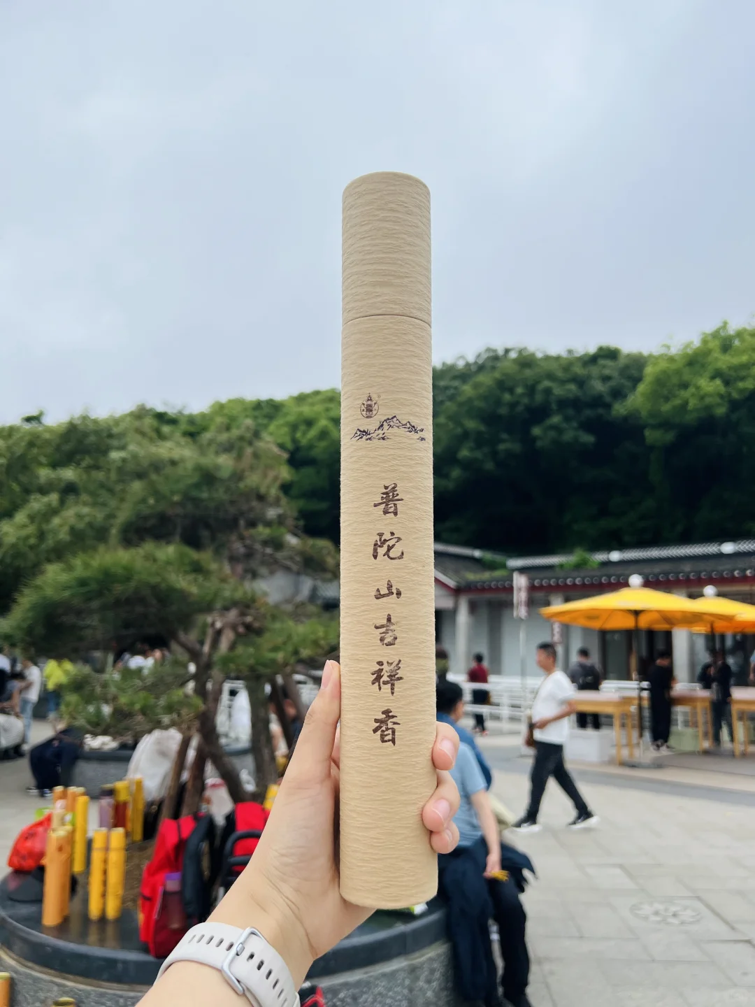 第一次来普陀山旅游攻略📣📣📣