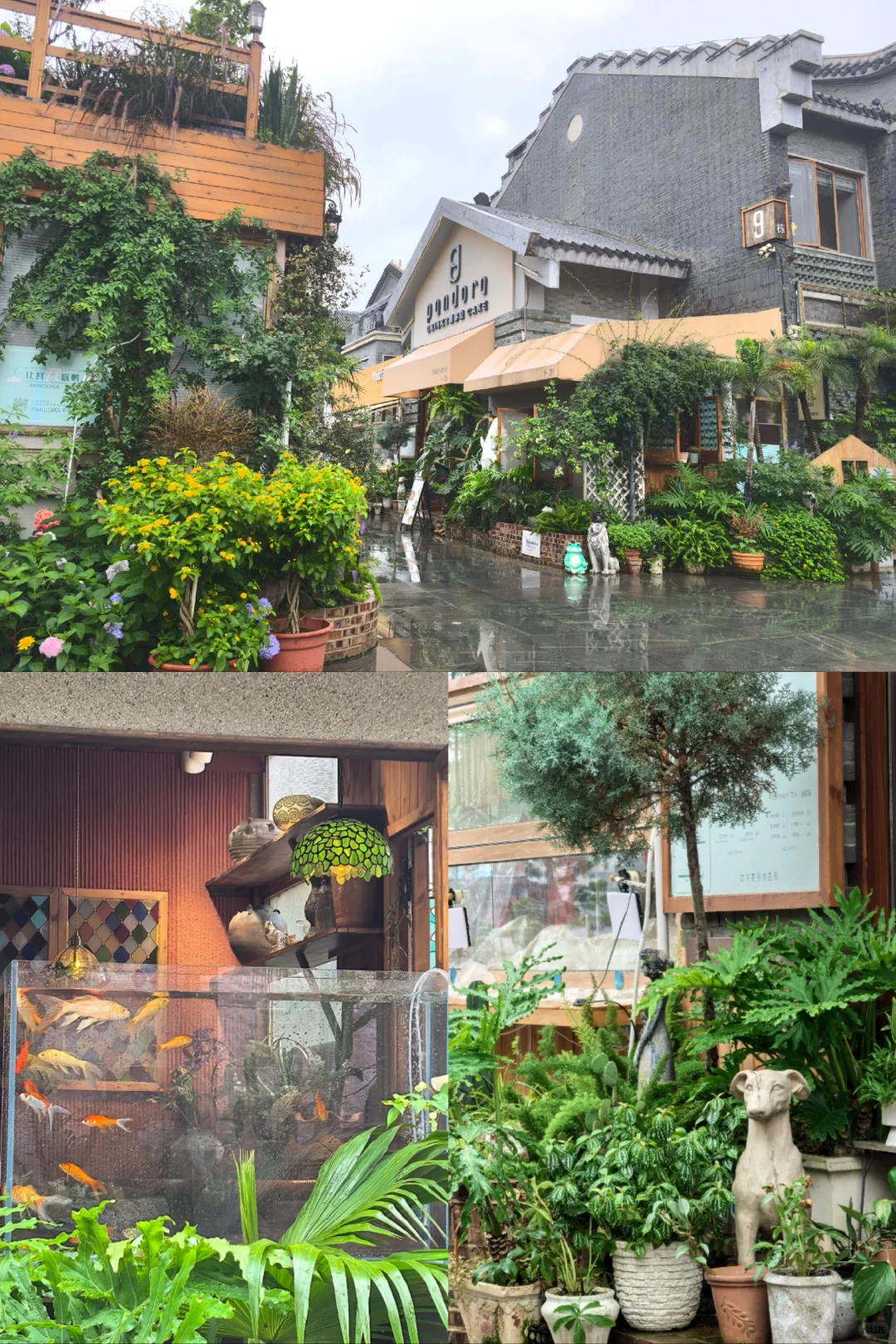 柳州四天三夜旅游攻略💰800r特种兵式旅游