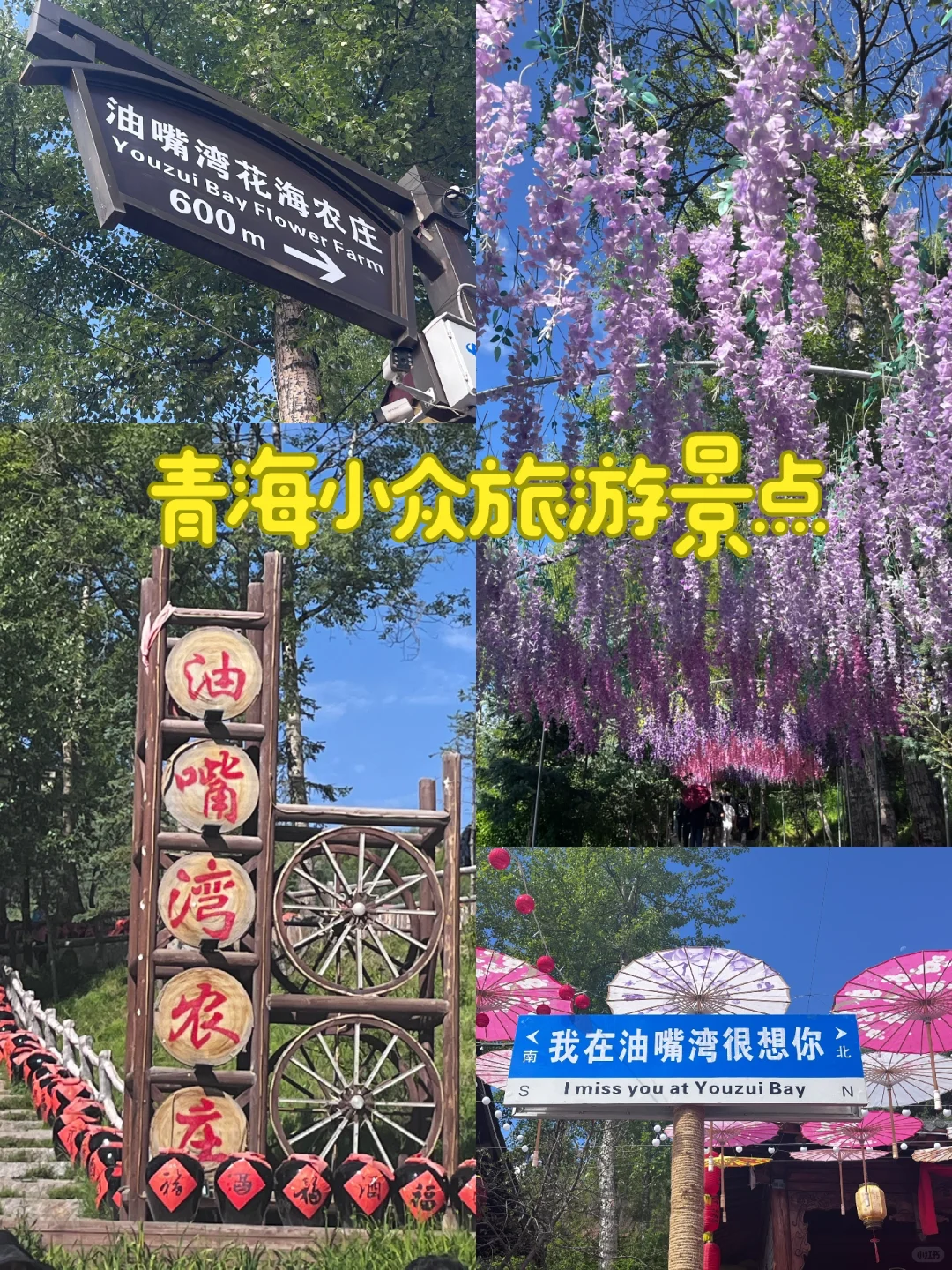 第 8 集｜一定要去的花海，油嘴湾花海