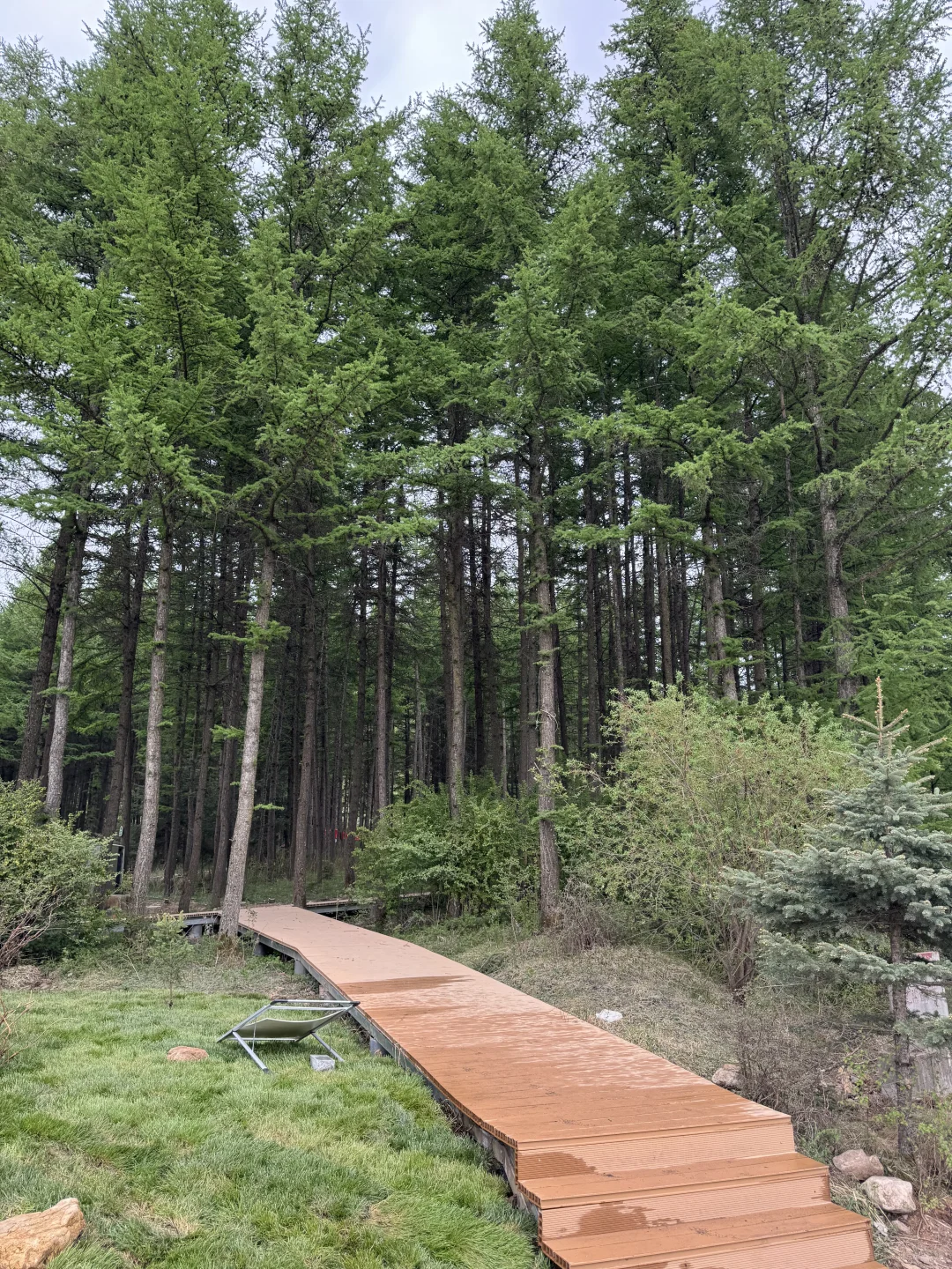 爸妈全程零抱怨，这路线我能回访三次🙌