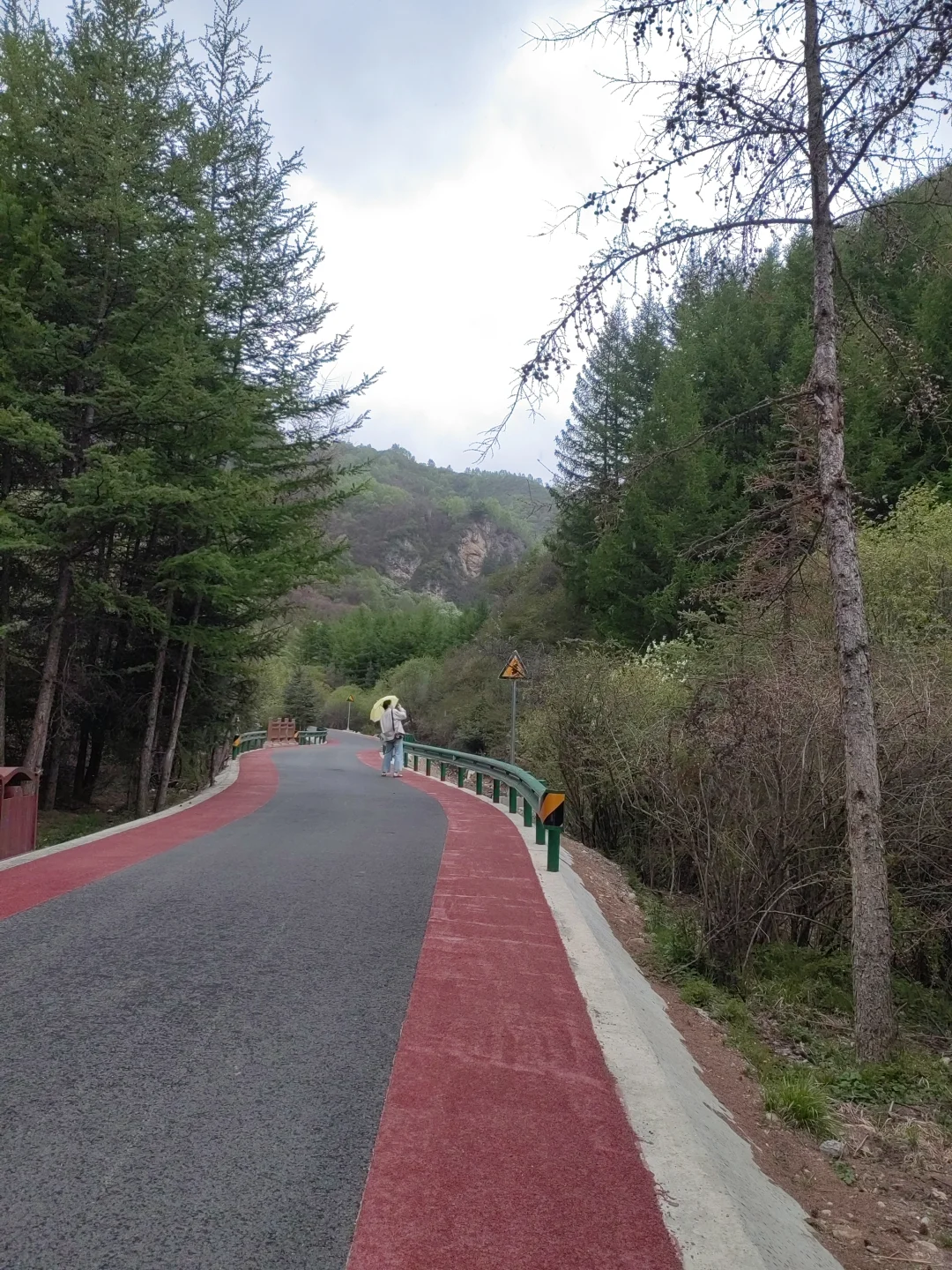 爸妈走得慢，但笑得比谁都开心🙂