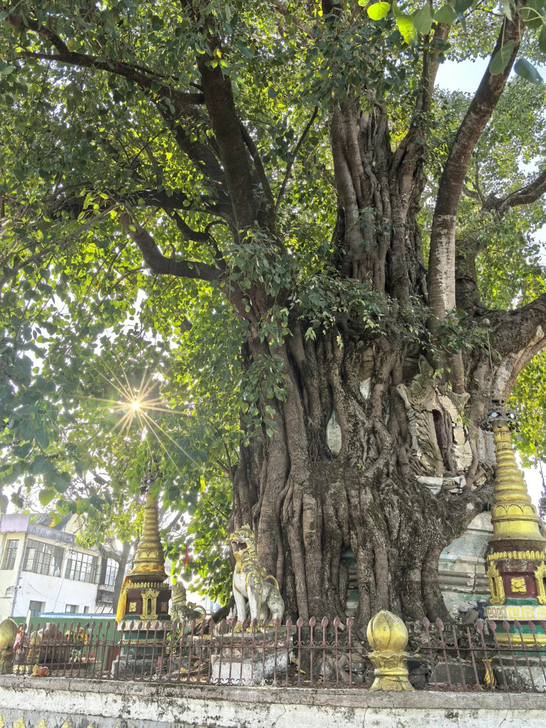 云南篇之【芒市】
