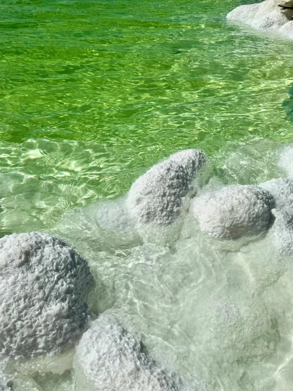 大西北！值哭了~