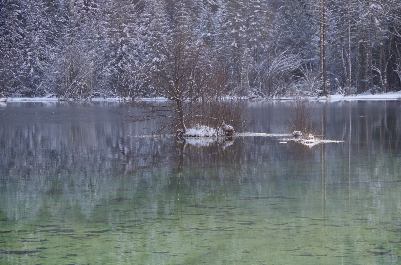 🚄2h直达!九寨高铁一日游保姆级攻略💎