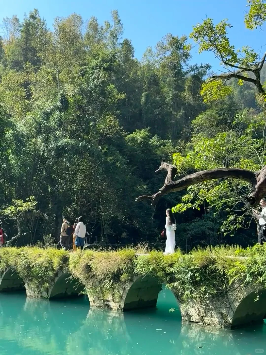 贵州三天两晚不废腿游玩攻略，赶快码住！