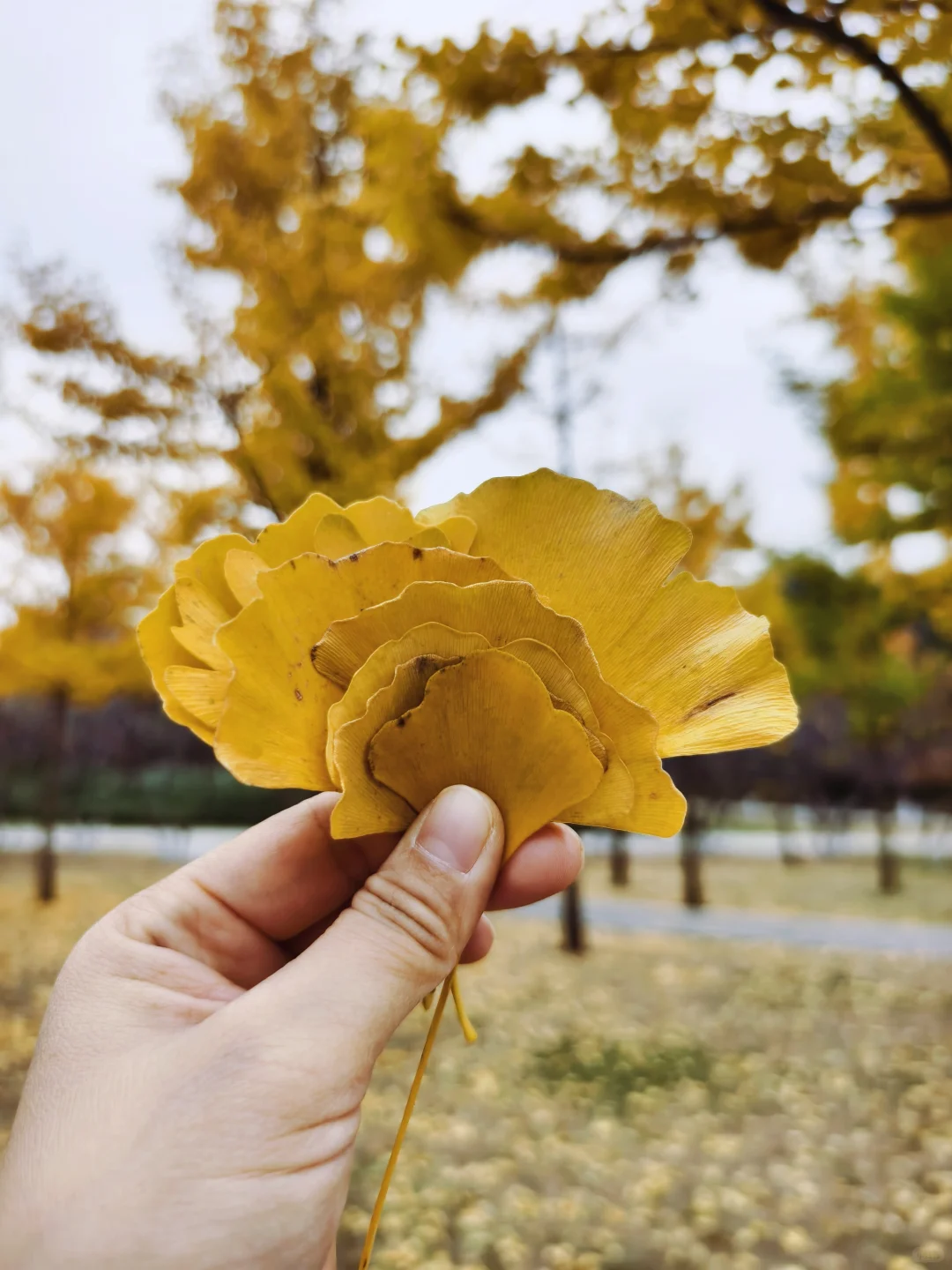 来长春必看！本地人给大家总结长春旅游防坑