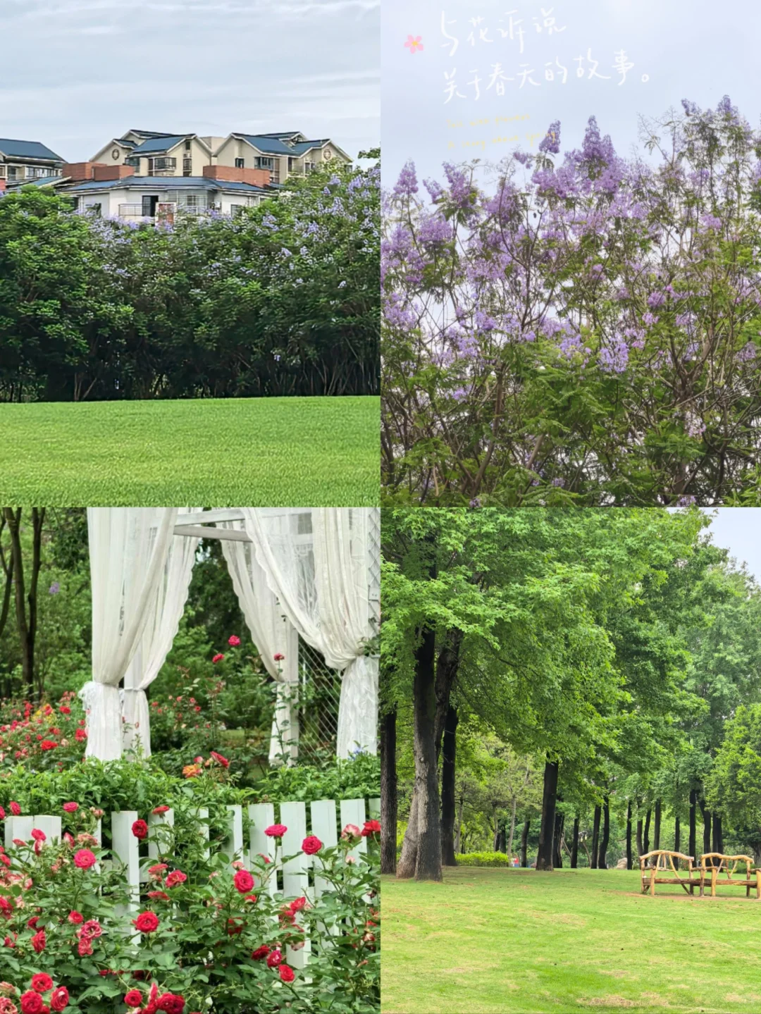 柳州四天三夜旅游攻略💰800r特种兵式旅游