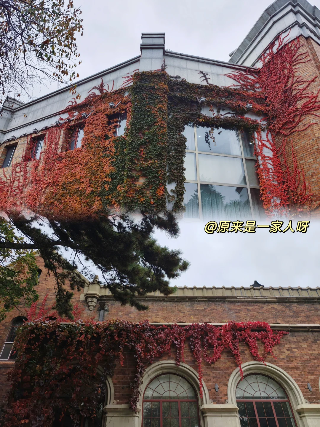 来长春必看！本地人给大家总结长春旅游防坑