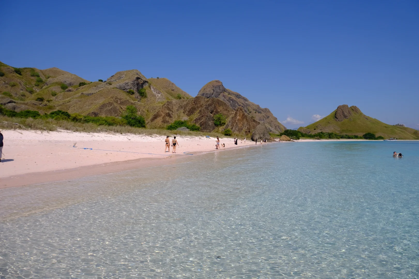 我要狠狠推荐科莫多8景点一日游