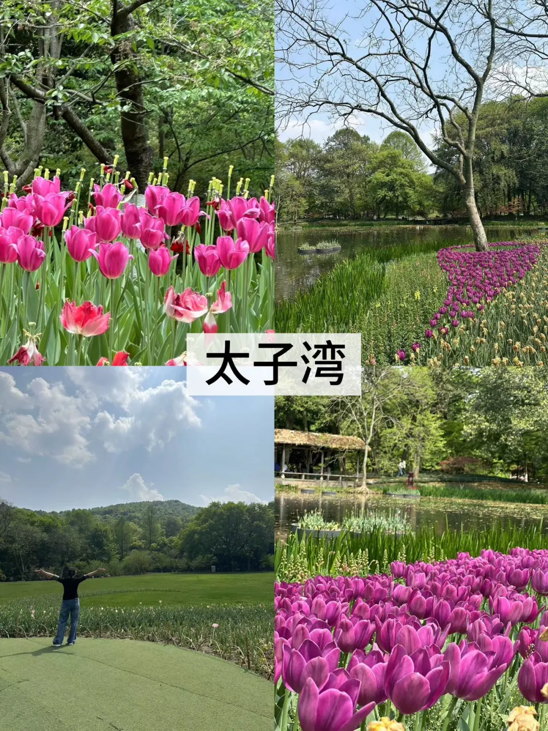 来西湖必去的8️⃣大景点（不踩雷版）！