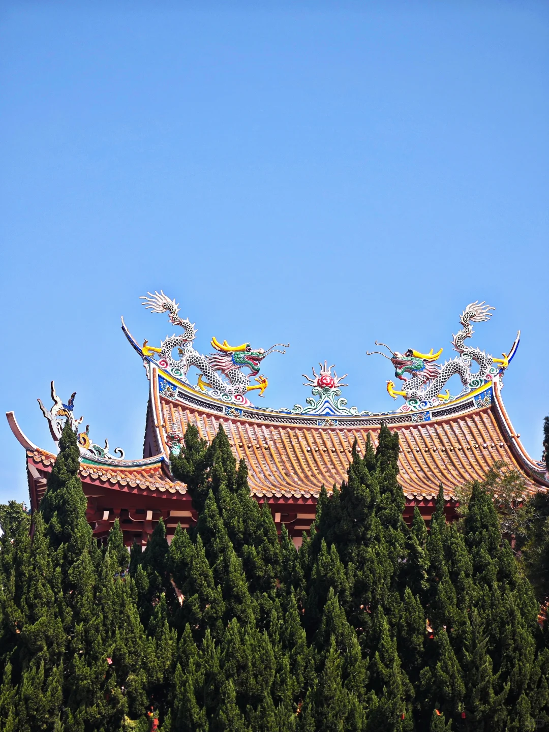 🚢湄屿之乡 | 妈祖故里🌊