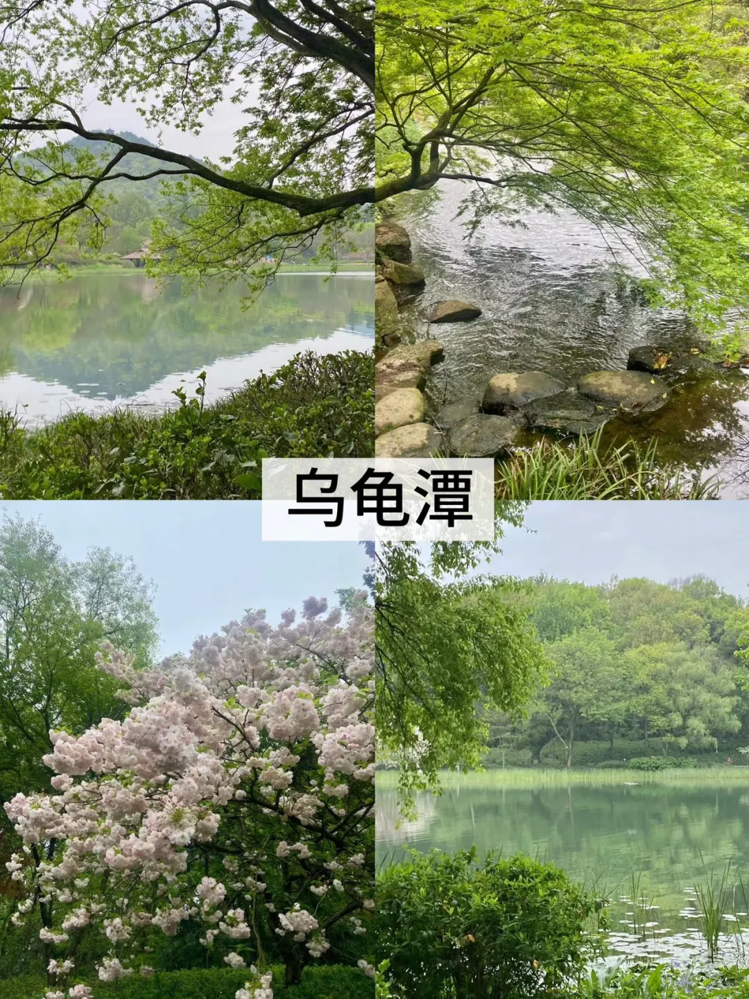 来西湖必去的8️⃣大景点（不踩雷版）！