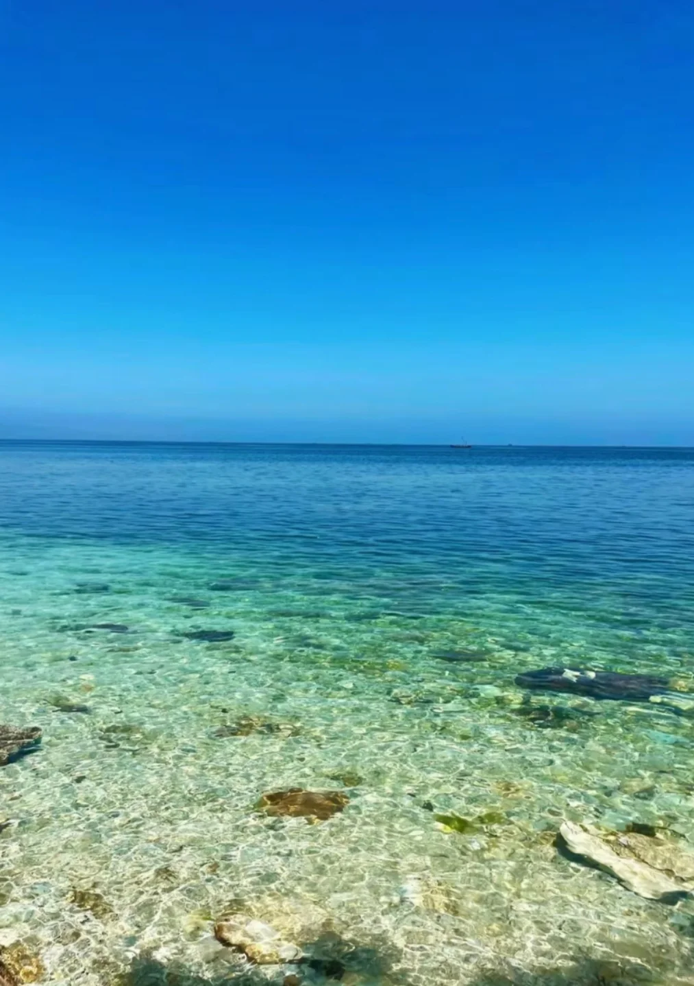 邯郸到烟台跟团游3天2夜攻略,也可自由行!