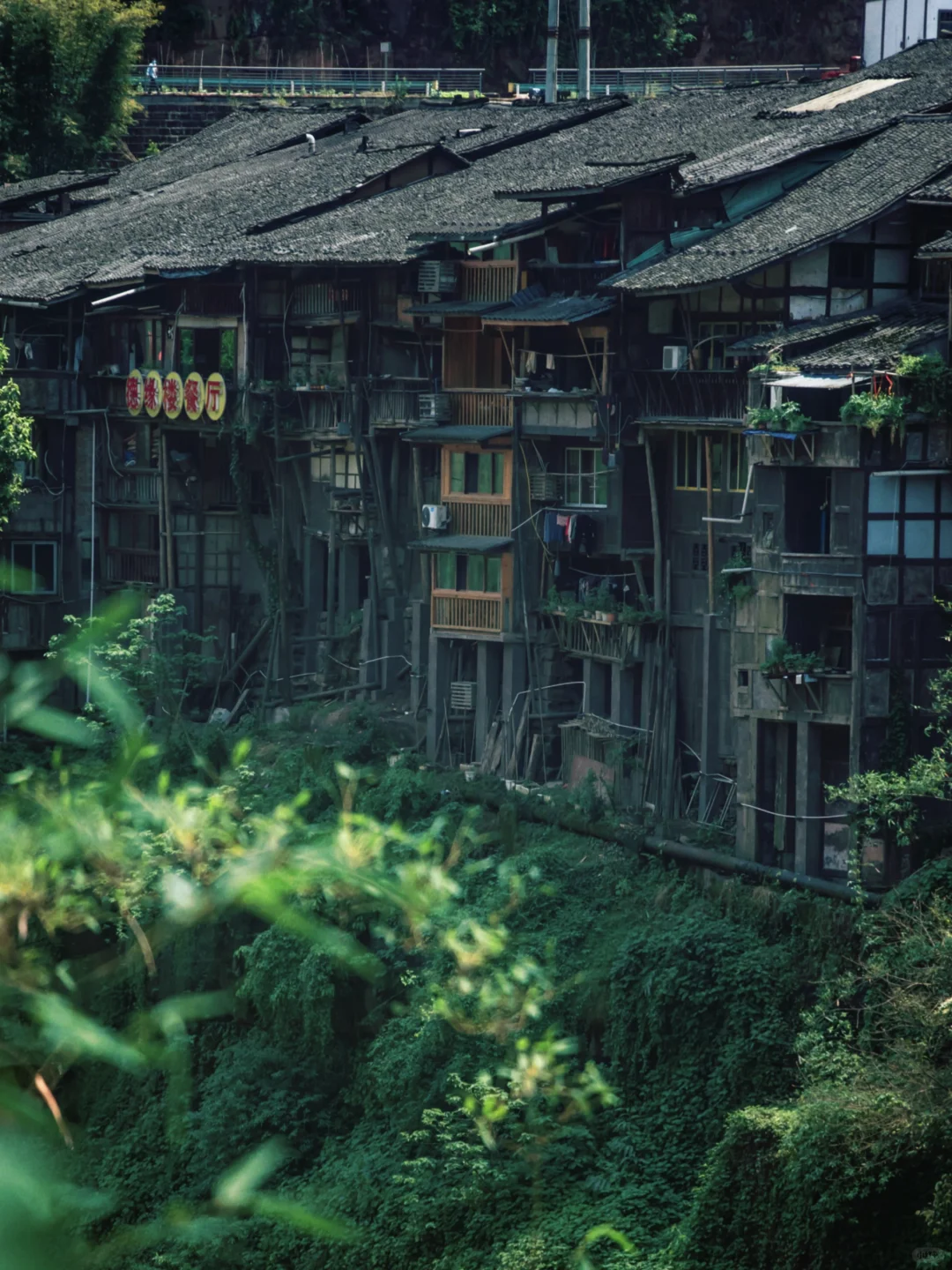 后悔才来赤水🥹隐藏了世界遗产的冷门小城