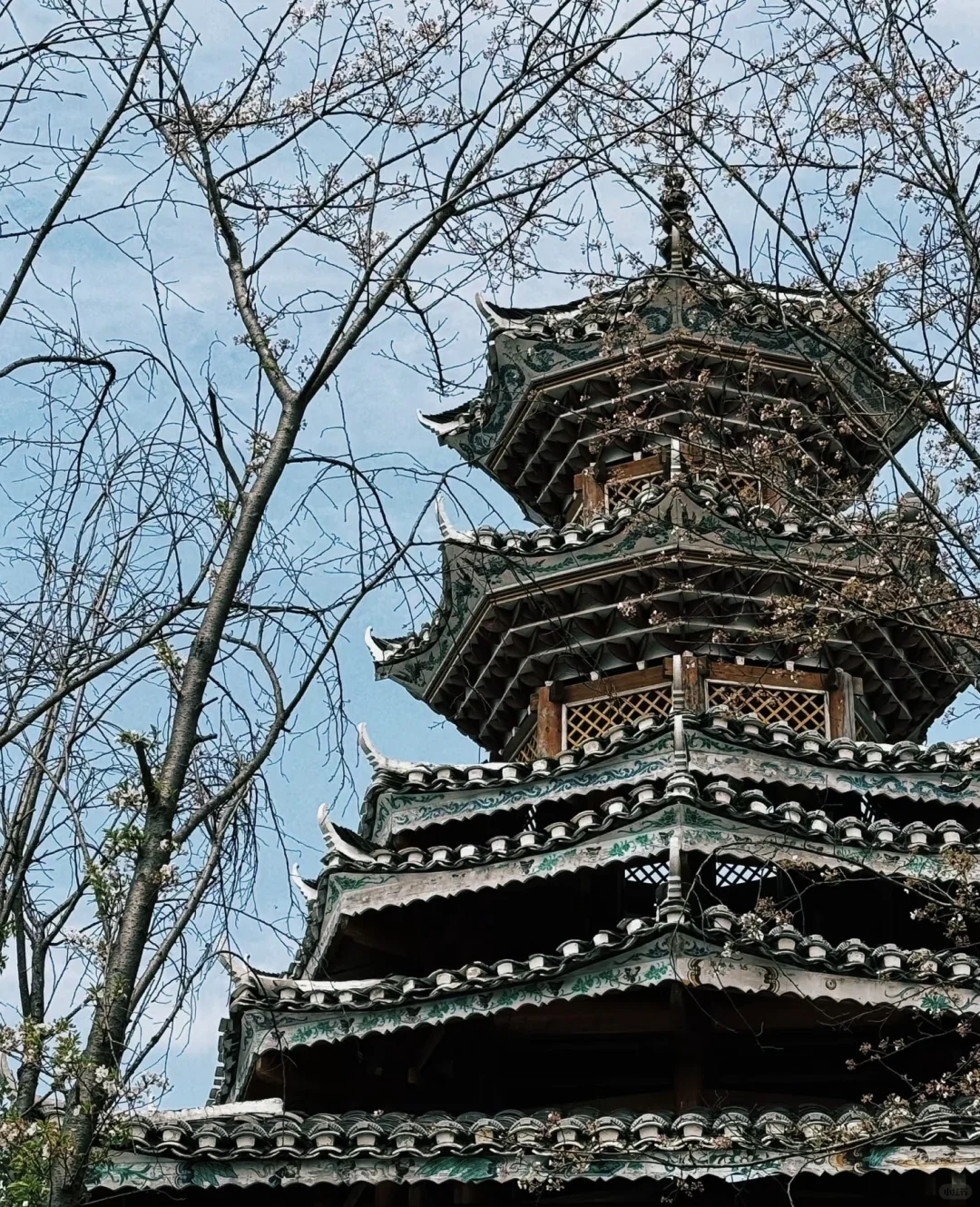 黢东南理工职院附近必去打卡景点