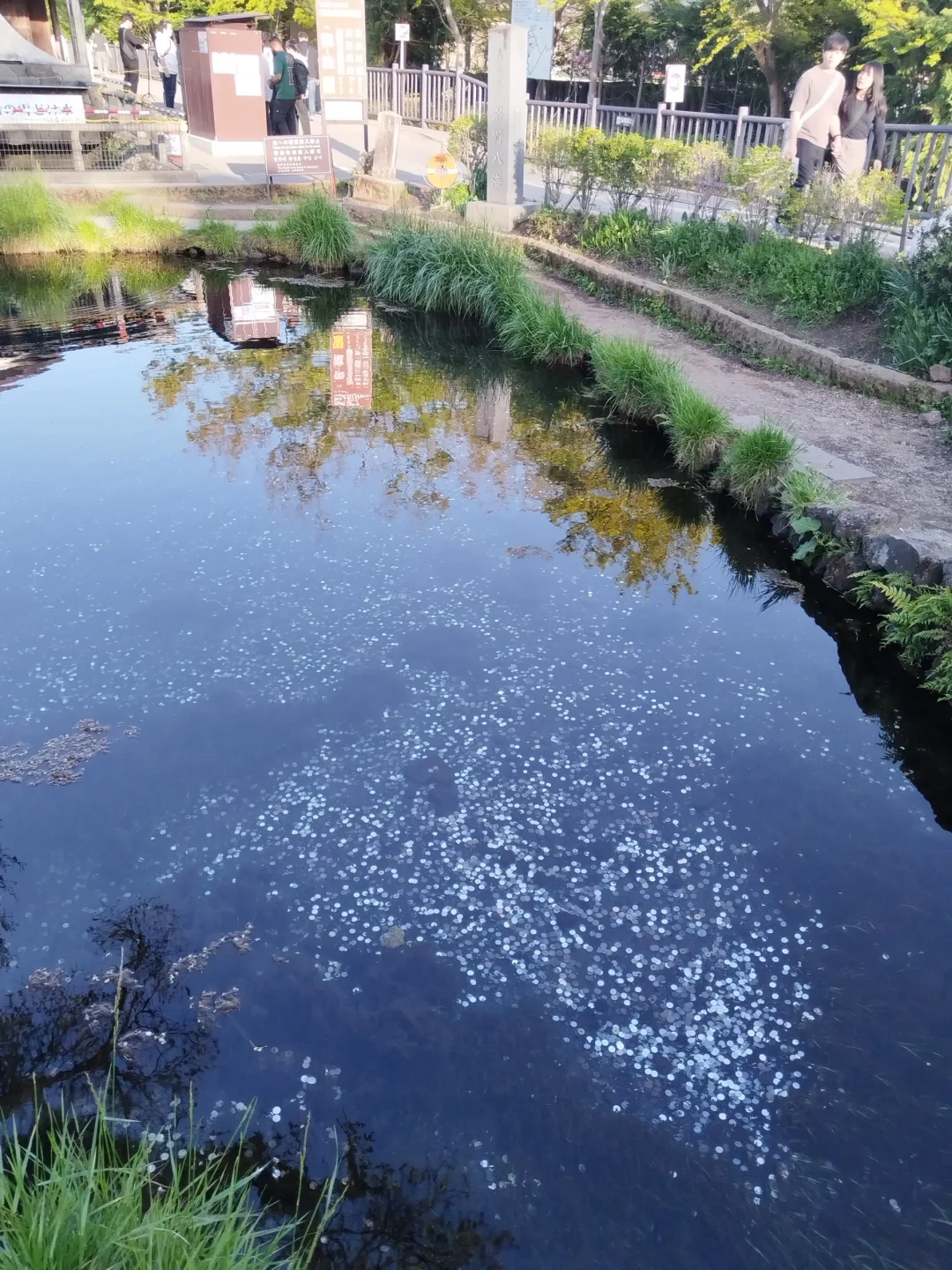 劝退富士山“三大坑人景点”