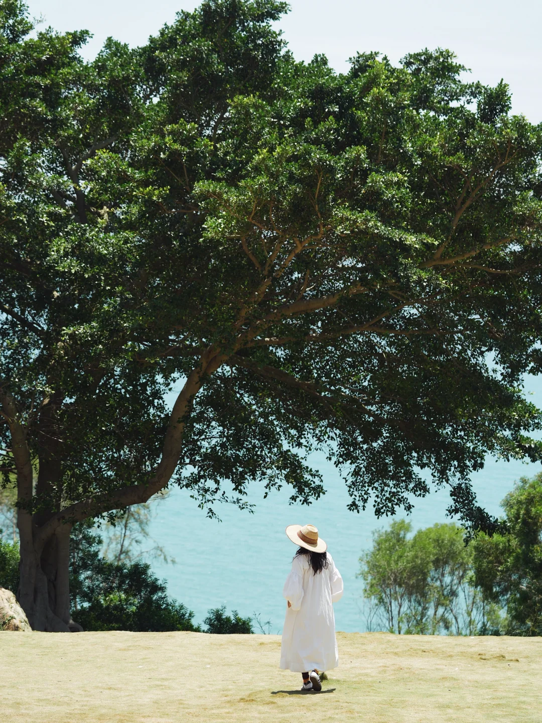 南澳岛🏝️刚回！这份2天1晚旅游攻略请查收📩