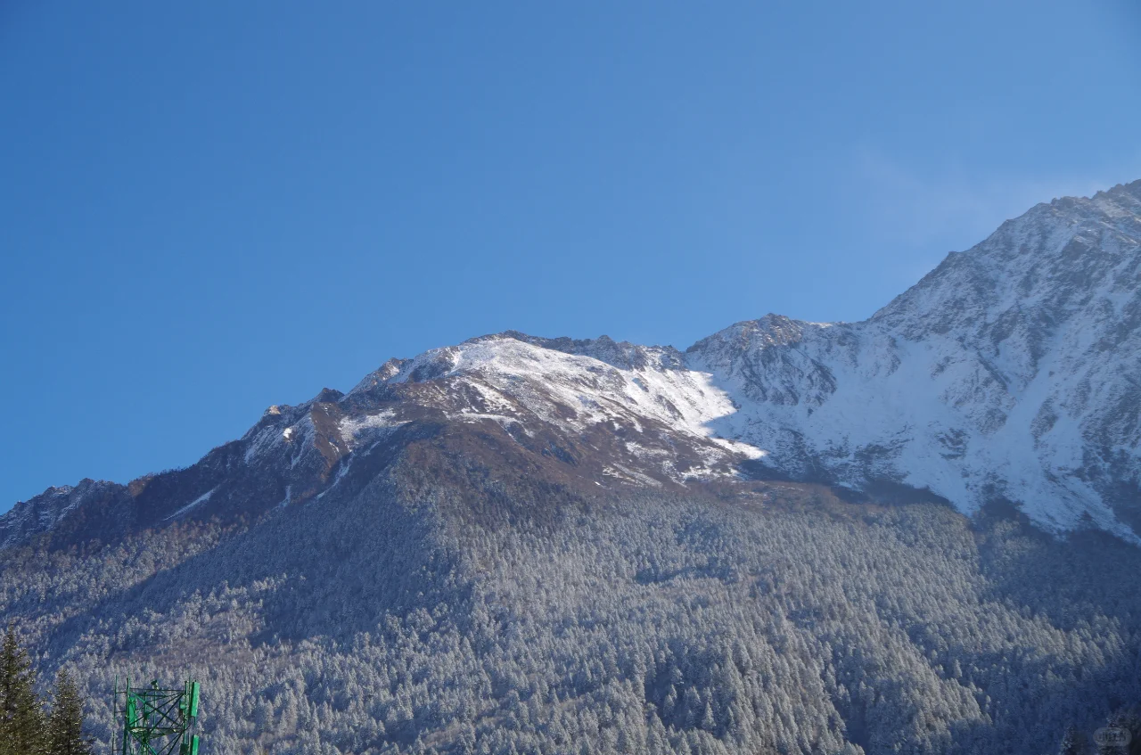 🚄2h直达!九寨高铁一日游保姆级攻略💎