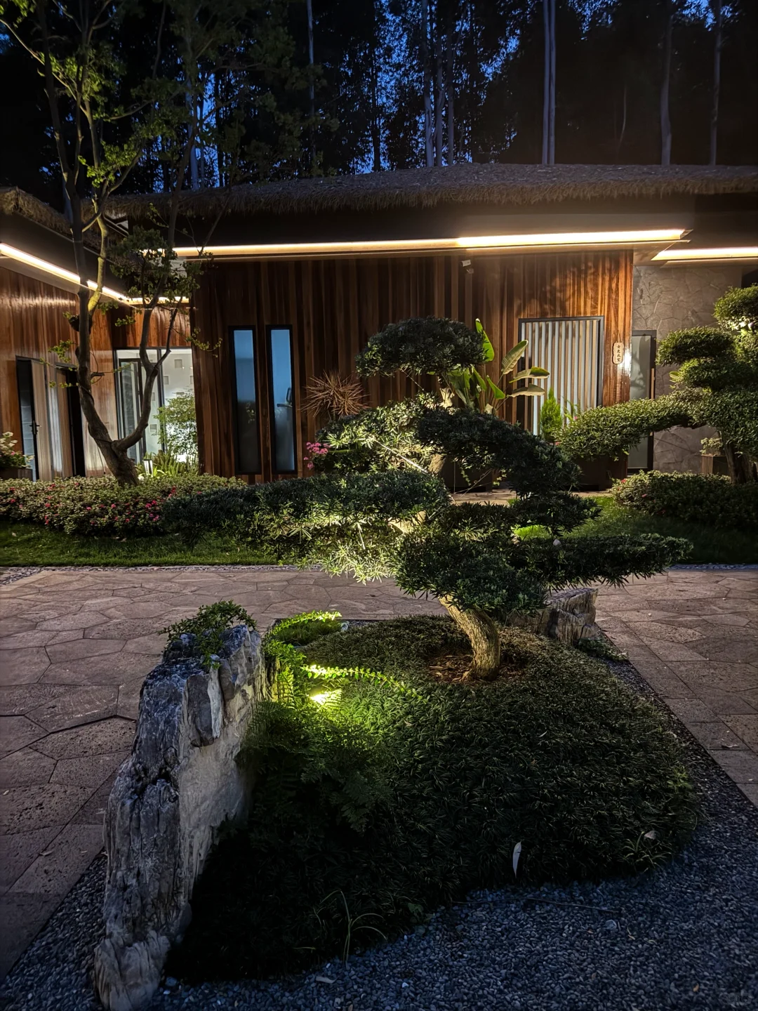 夜晚的森林温泉🌲♨️｜弥勒沐心谷