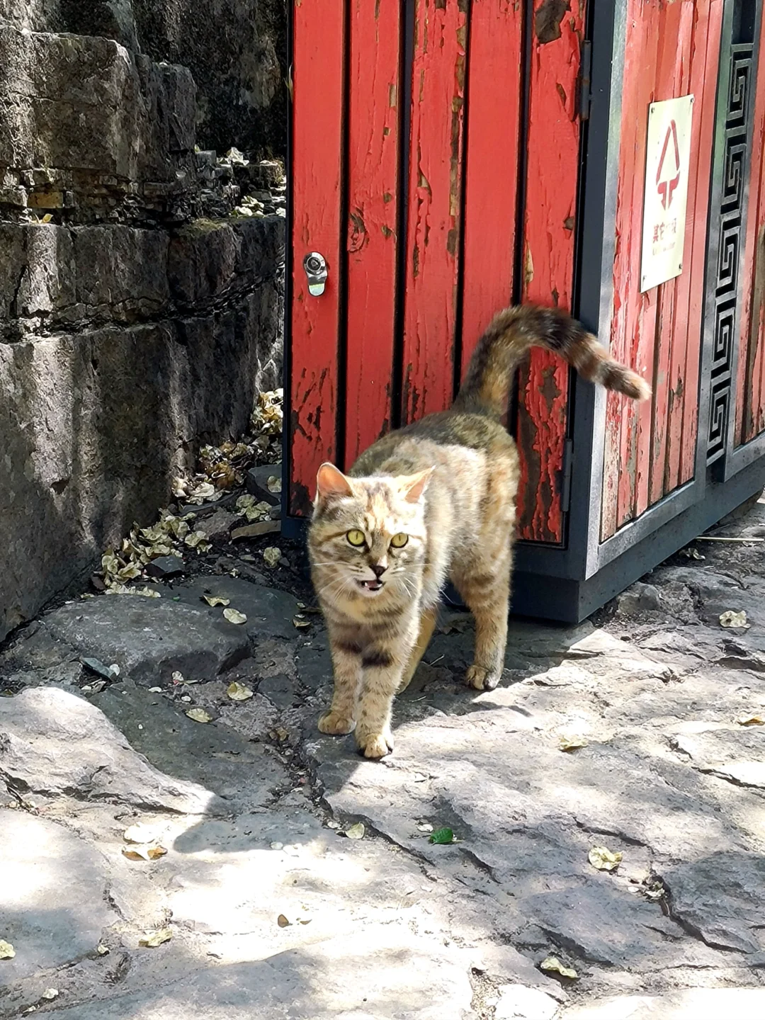 藏山｜周末逃离城市，超小众避暑胜地！