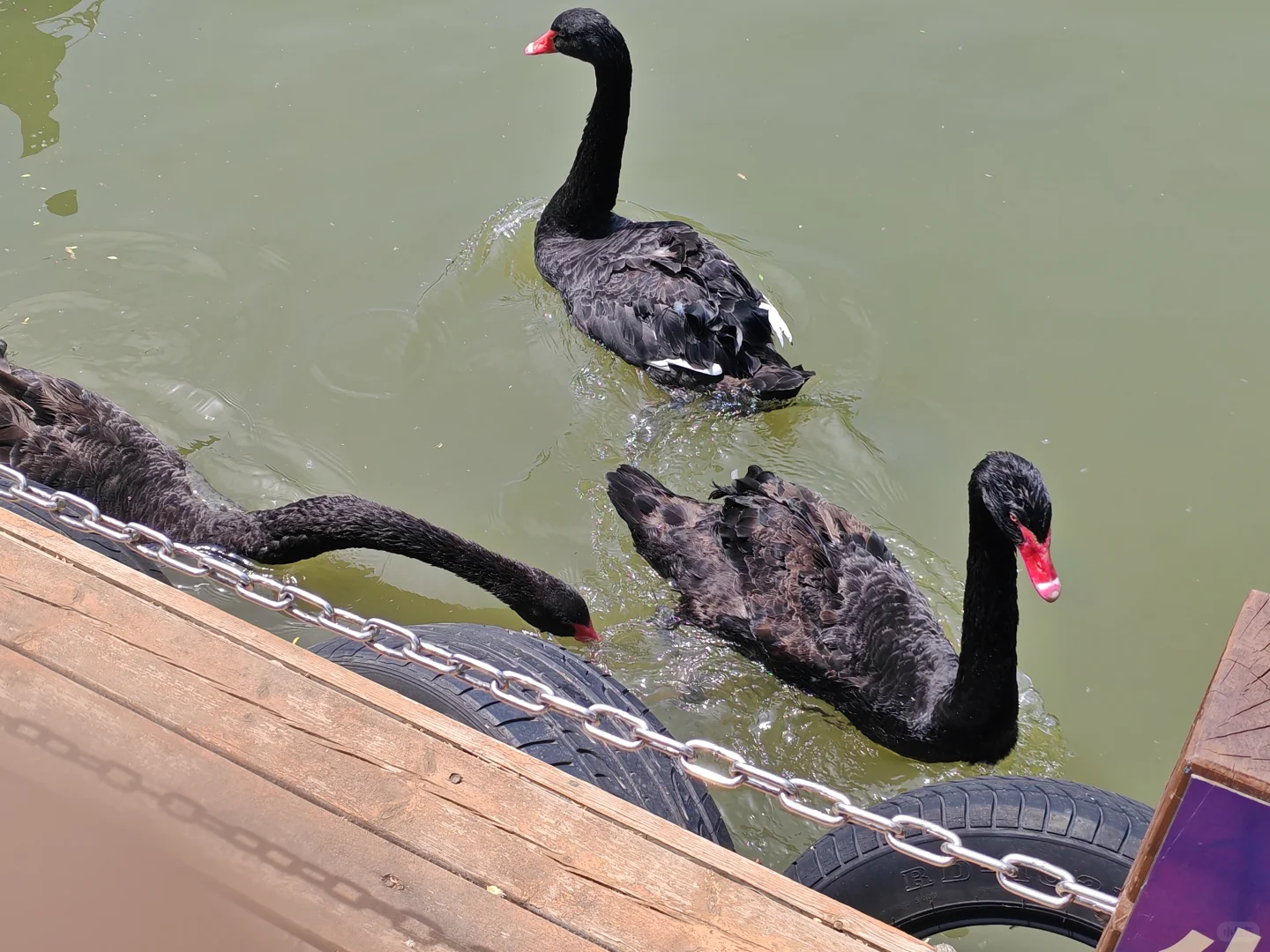 谁还不知道淄博有个三水源 真的亏大了