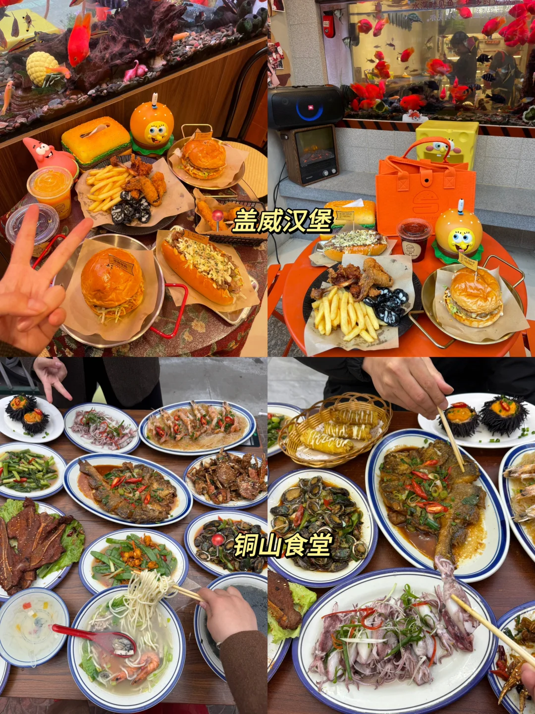 东山岛已回（已被宰）内容很脏，但很真实！！