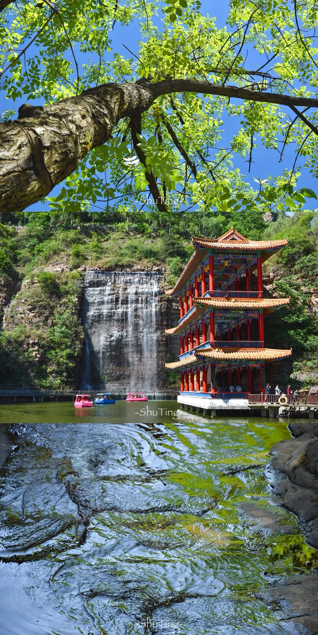 🟢喜欢那一抹流动的绿🍃邯郸七步沟美到失语