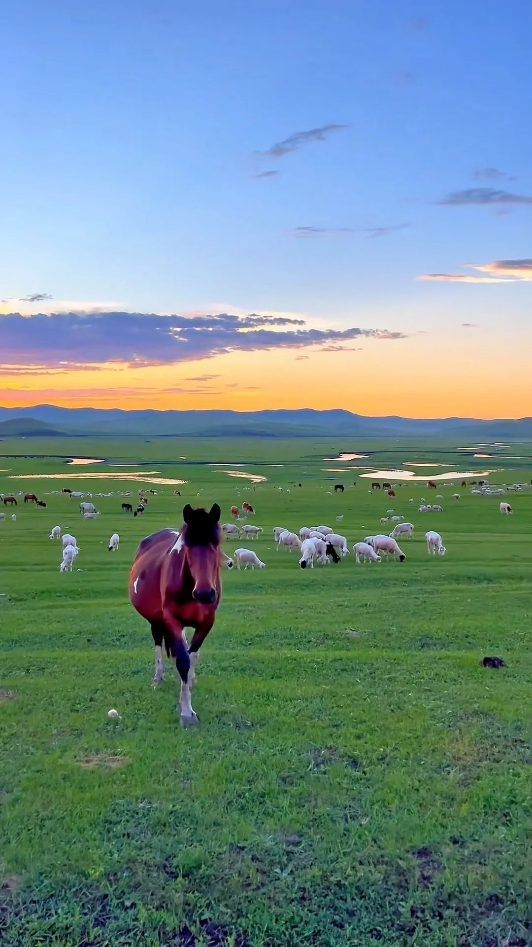 Live图的意义😭在这里体现的淋漓尽致……