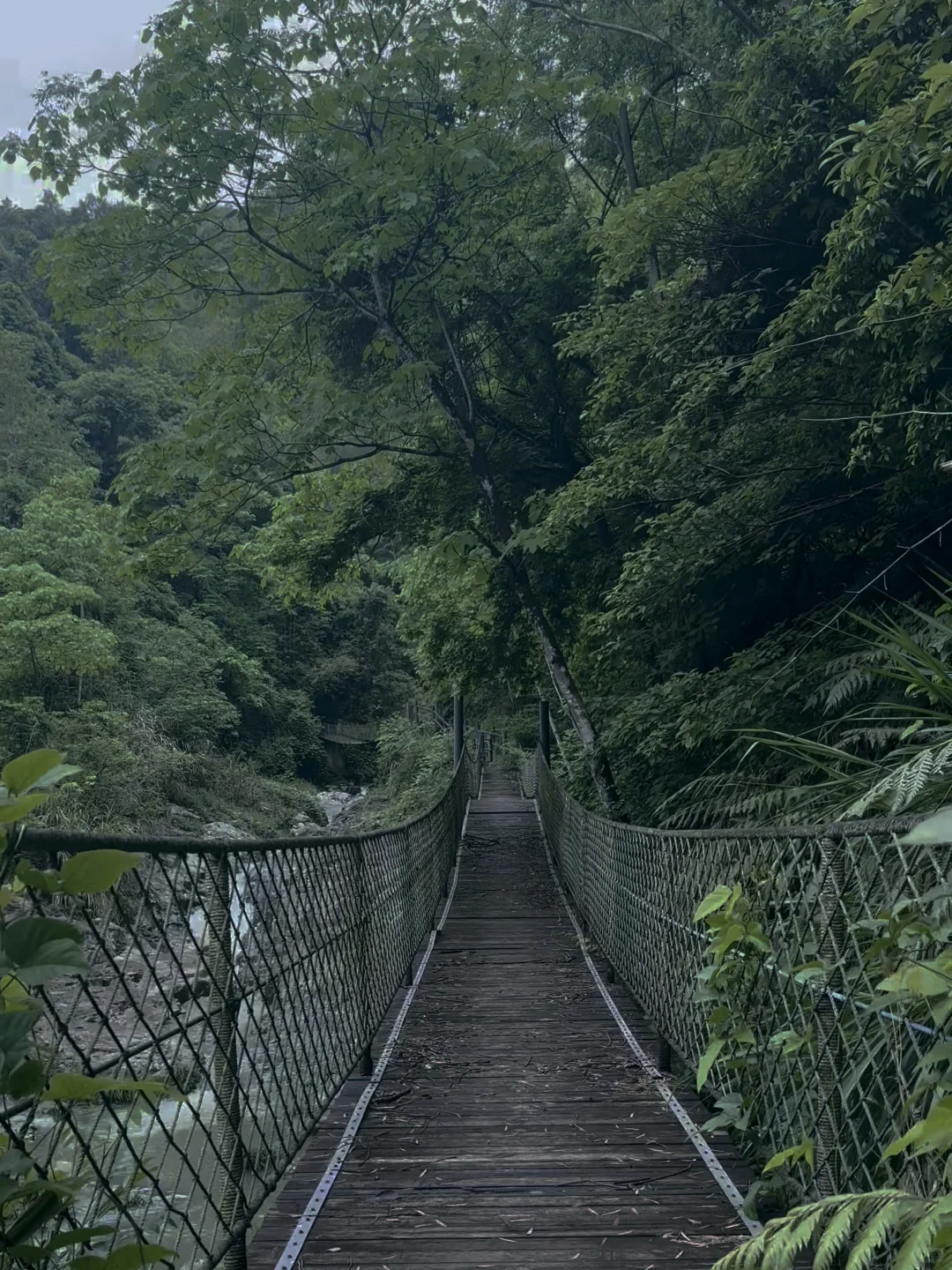 推荐一个99.9%的人都不知道的山野徒步秘境