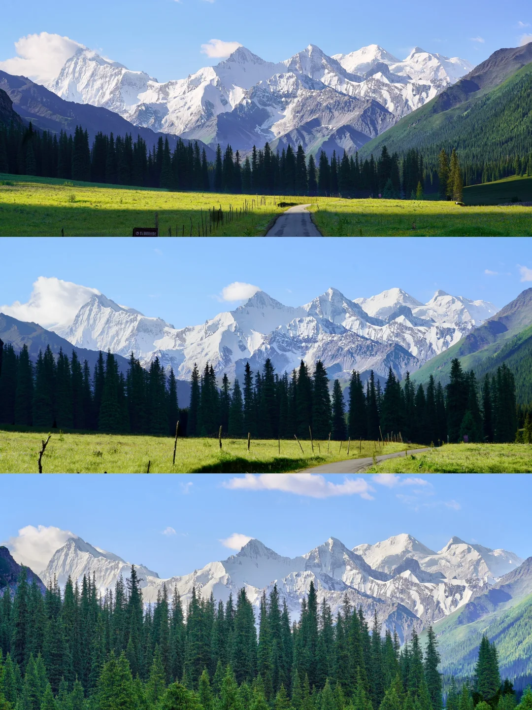 6月的夏塔是拍人生照片的最佳季节