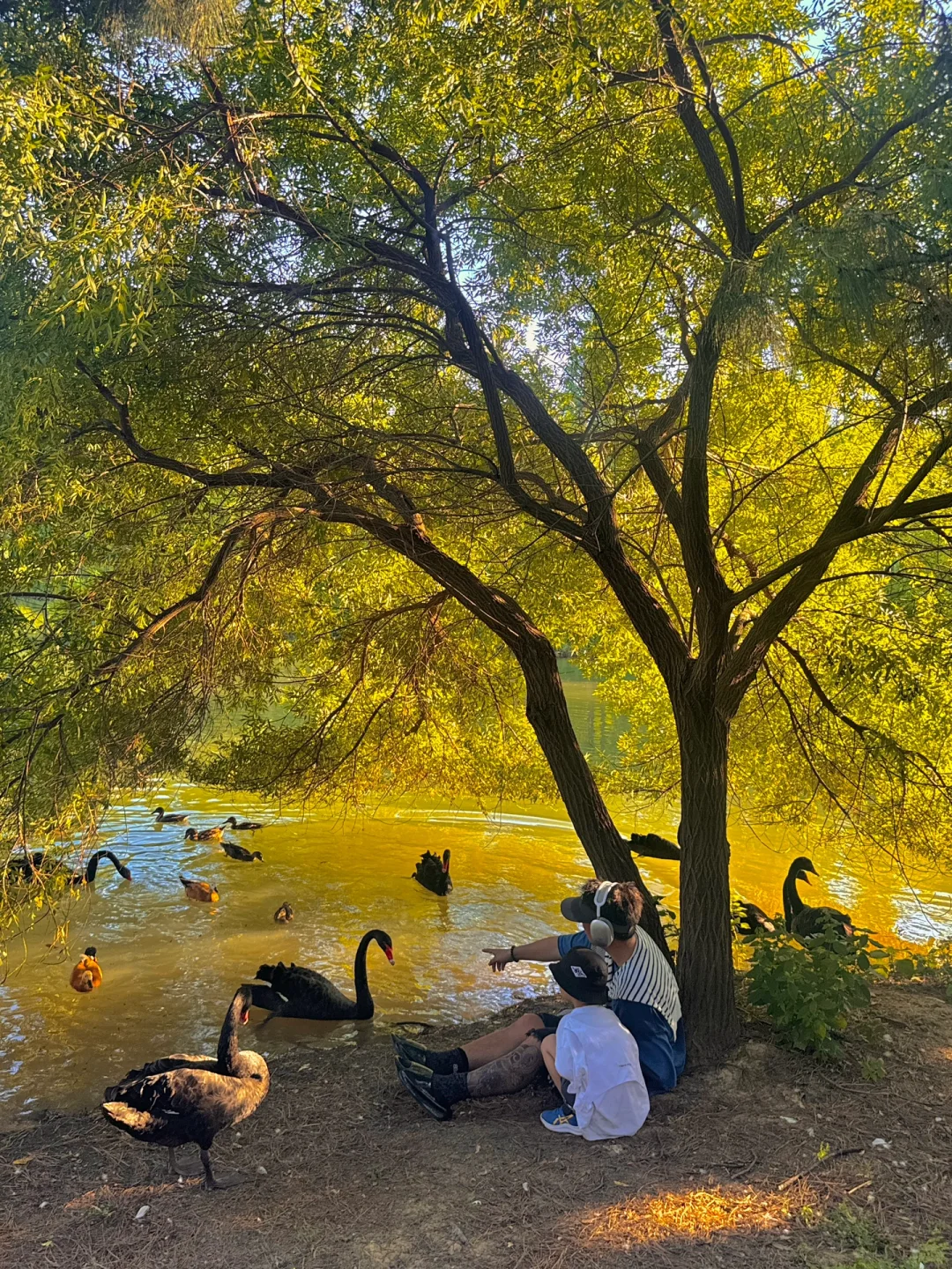 苏州开车2h,来到了魔法世界🦍🐳🦆🦌