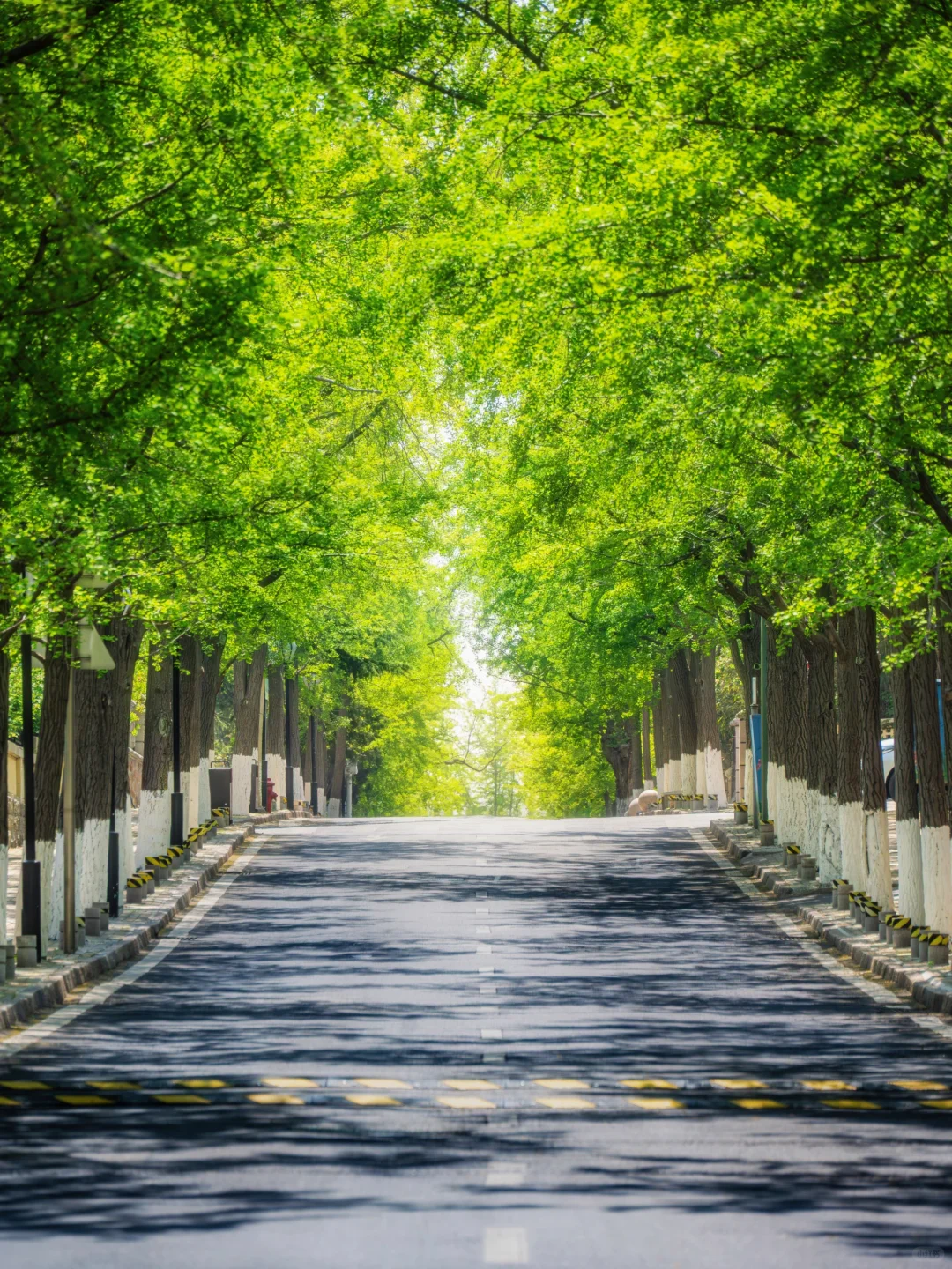 来青岛两次，终于凑齐这14个机位❗️附攻略