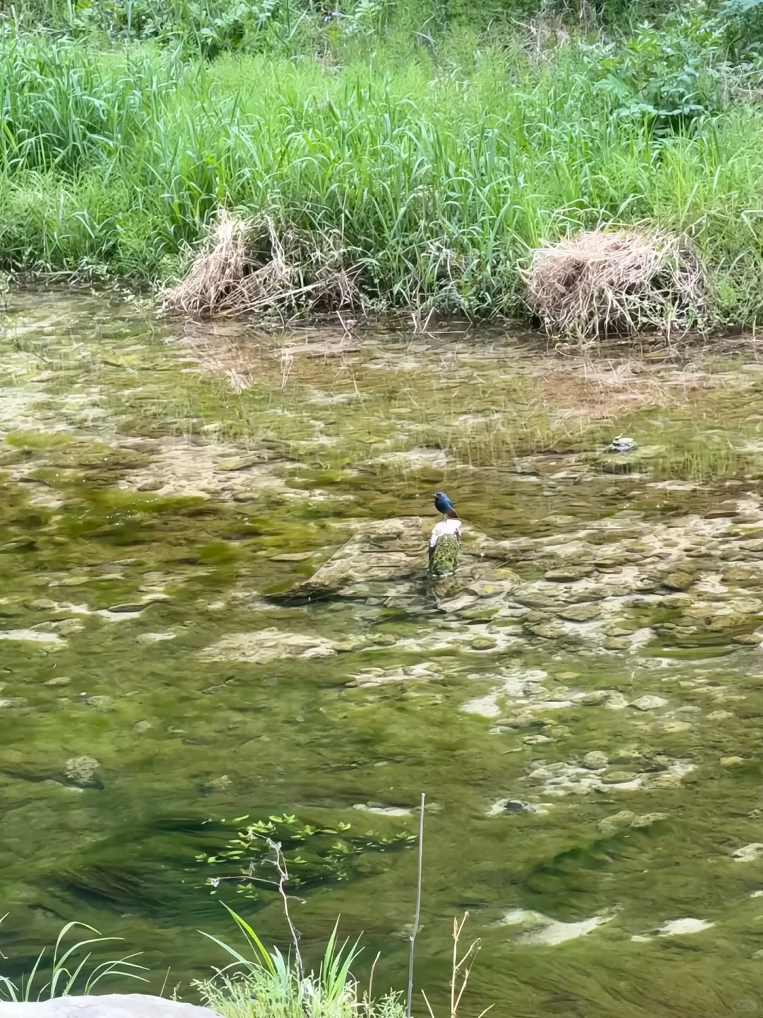 📍⛰️山西长治·八泉峡一日不废腿(A线)