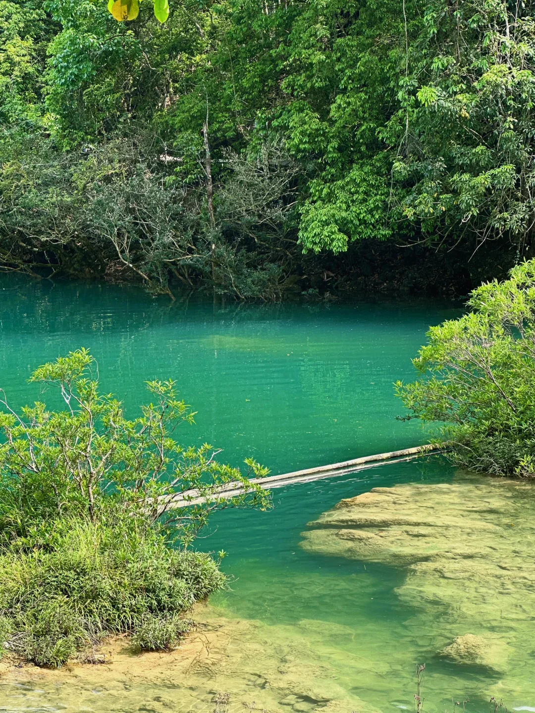 贵州旅游｜荔波小七孔 地球腰带上的绿宝石