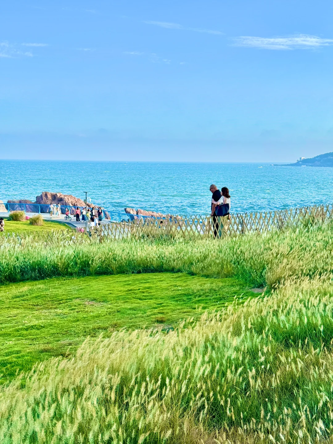 听劝没去小麦岛…青岛这里真的美哭我了