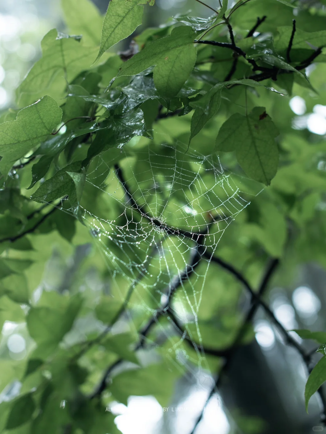 推荐一个99.9%的人都不知道的山野徒步秘境