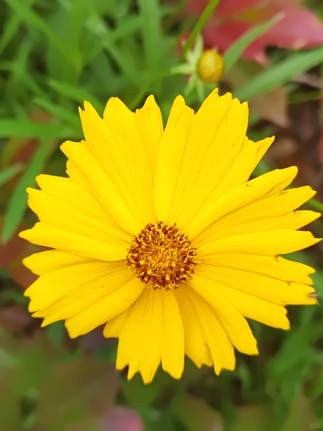 日溪峡谷瀑布景区