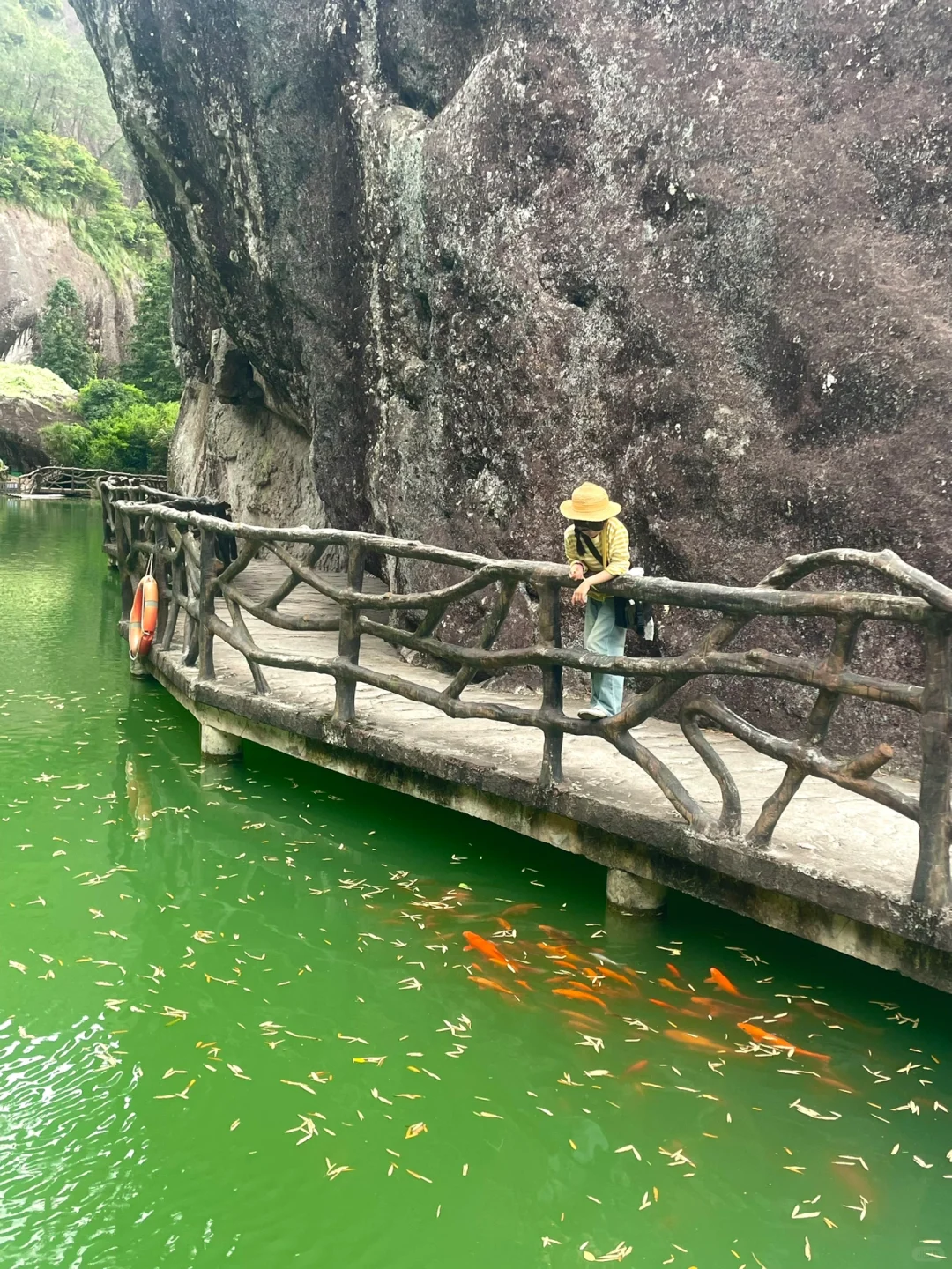 丽水松阳！被严重低估的遛娃宝藏地！后悔才来